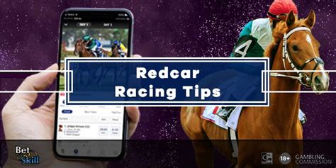 Today's Kenilworth Racing Tips and Predictions .
